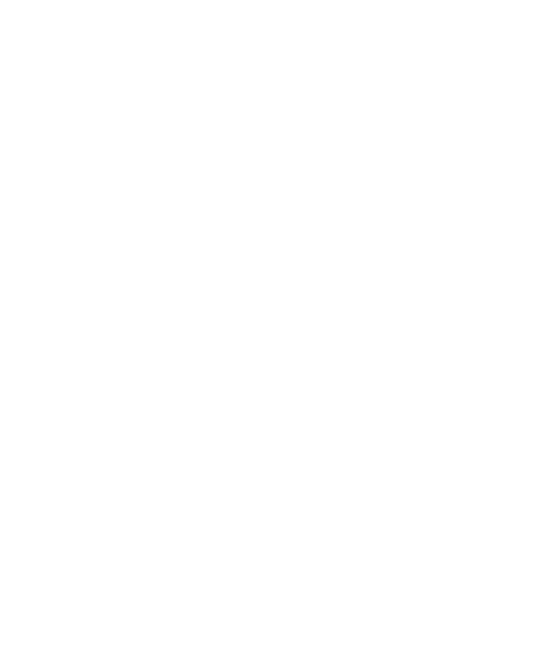 Quantum Leap Logo